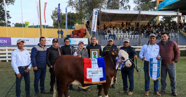 La Nación / Ganadera Las Pampas logró una gran campeona en la raza braford