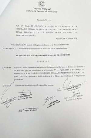 En el Senado piden la interpelación de Félix Sosa, presidente de la ANDE - Economía - ABC Color