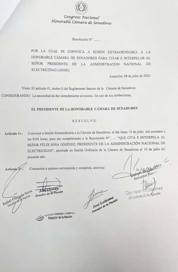 En el Senado piden la interpelación de Félix Sosa, presidente de la ANDE - Economía - ABC Color