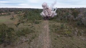 Narcotráfico: Destruyen pistas clandestinas en el Parque Nacional Paso Bravo