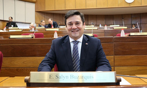 Al presidente de la ANDE el Senador Salyn Buzarquis pide debate público - OviedoPress