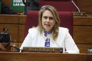 Ley de ONG: diputada Rocío Vallejo pide discusión y estudio previo a aprobación - Política - ABC Color
