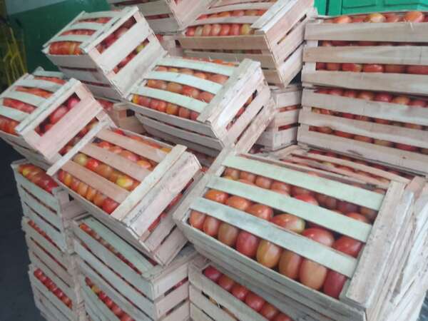 Precio del tomate está en G. 10.000 en los mercados - Nacionales - ABC Color