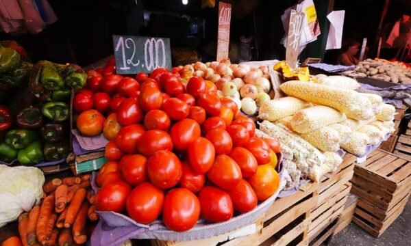 MAG autorizará importación de hortalizas y frutas con base al volumen de producción nacional y la demanda insatisfecha