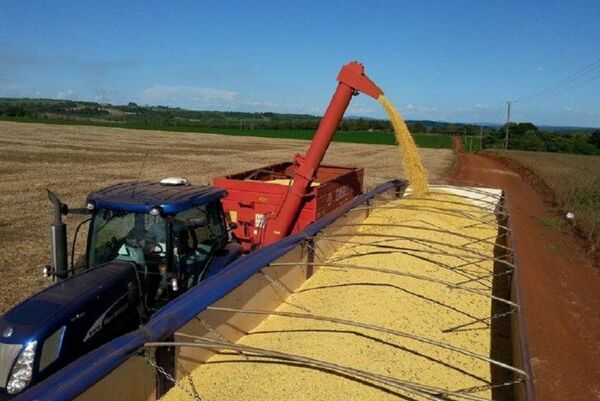 Exportaciones cierran el semestre con buena dinámica pese a la caída de los precios