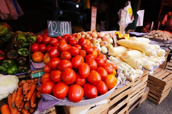 MAG autorizará importación de hortalizas y frutas con base al volumen de producción nacional - El Independiente
