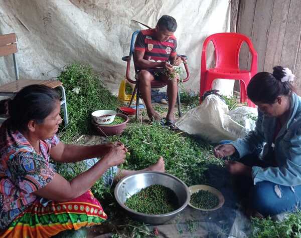 Frutos del bosque chaqueño van a la mesa con exquisitas mermeladas o condimentos.