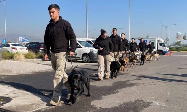 Futuros canes detectores de drogas y guías de la Senad entrenan en Chile – Prensa 5