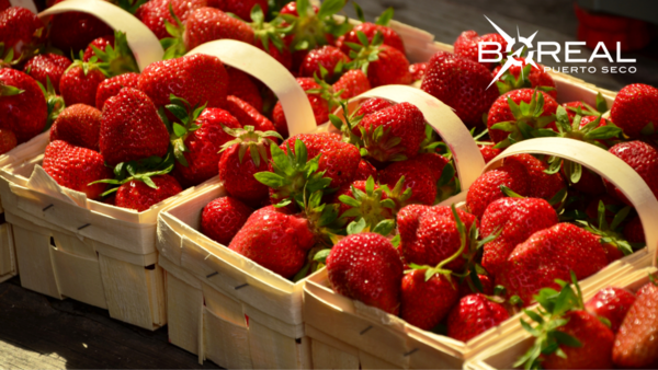 Areguá: la feria de la frutilla arranca mañana con muchas opciones para los visitantes - Unicanal