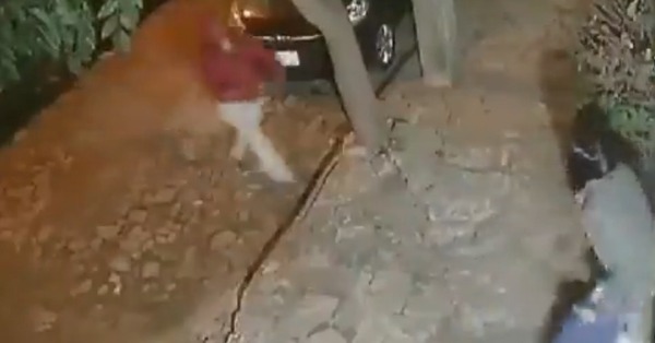Delincuente golpea y asalta a cónsul argentina a metros de su casa en Asunción - Radio Imperio 106.7 FM
