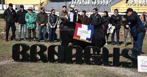 La Nación / Brangus premió a sus mejores ejemplares en terneros de bozal