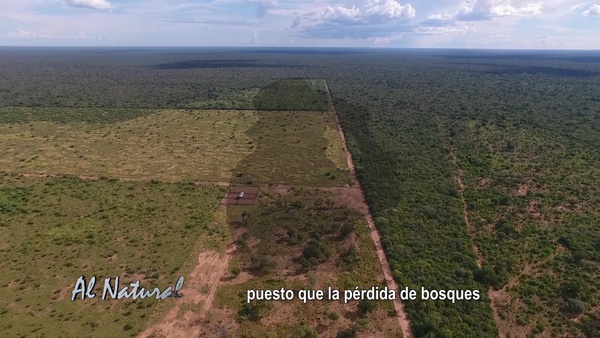 SNT Al Natural: Sequía en el Chaco paraguayo - SNT