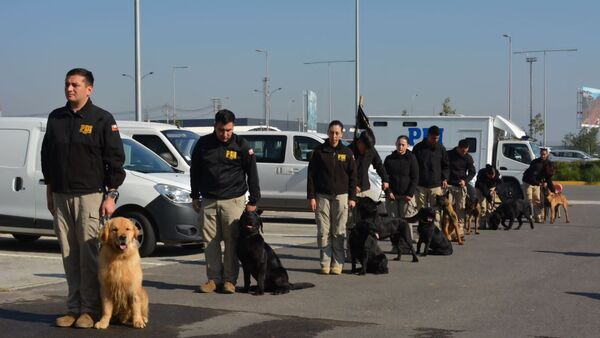 Futuros canes detectores de drogas y guías de la Senad entrenan en Chile