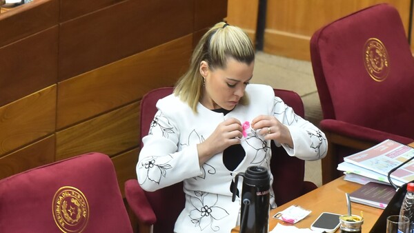 DDJJ de Lizarella será rectificada porque "omitió" el pago de la cuota de su casa