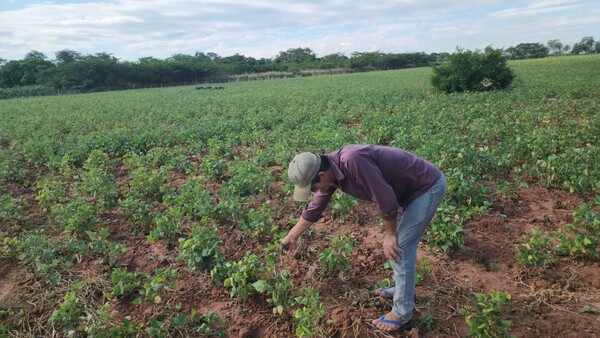 Concepción: Junta Departamental declara emergencia agrícola, ganadera e hídrica