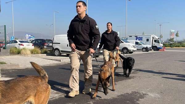 Entrenan a perros antidrogas y agentes guías en Chile - Nacionales - ABC Color