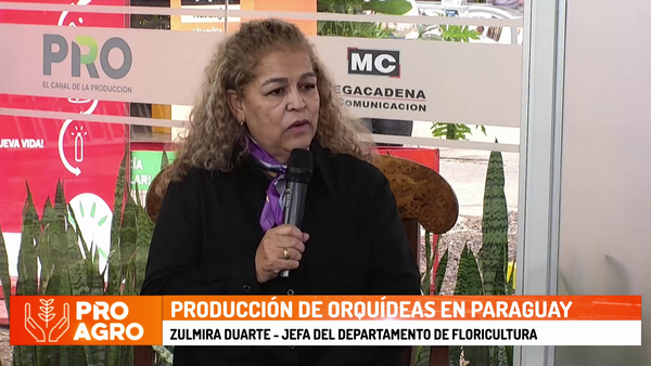 Producción de orquídeas en Paraguay: rentable e interesa a pequeños productores - Megacadena - Diario Digital