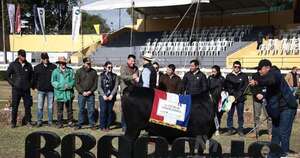 La Nación / Brangus premió ayer a los mejores terneros de bozal
