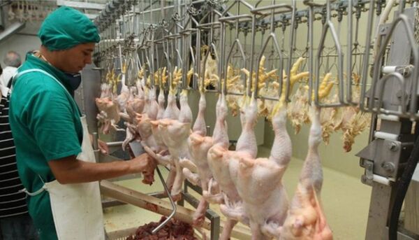 Sector avícola paraguayo busca abrir mercados externos para ampliar su producción