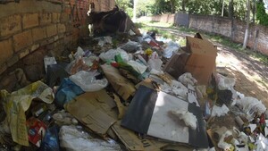 Actual temporada de dengue podría unirse a la siguiente