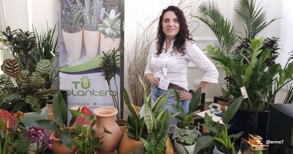La Nación / Emprendedores LN: combinó negocio más su pasión por la artesanía en cerámica y creó Tu Plantera