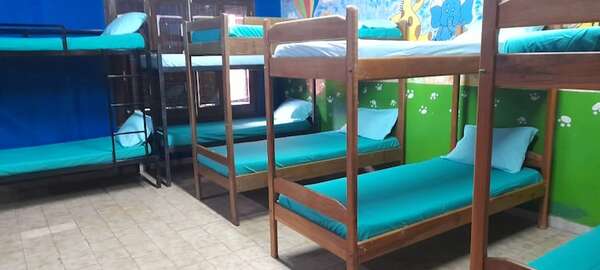 Frío: reciben a niños y adolescentes en situación de calle en centro refugio en San Lorenzo - Nacionales - ABC Color