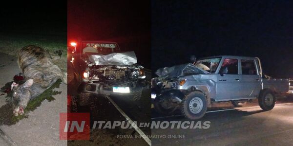 CAMIONETA COLISIONÓ CONTRA ANIMAL VACUNO EN GRAL. DELGADO - Itapúa Noticias