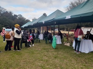 Jornada de Gobierno en San Juan del Paraná: Servicios y Bienestar para la comunidad