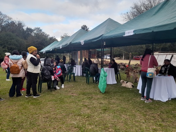 Jornada de Gobierno en San Juan del Paraná: Servicios y Bienestar para la comunidad