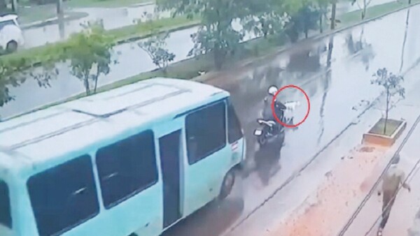Video: Frenó para no arrollar a un perro y le chocó un minibús
