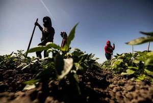 Factura climática: Naciones industrializadas incumplen promesa de compensación, reclaman países vulnerables  - Mundo - ABC Color