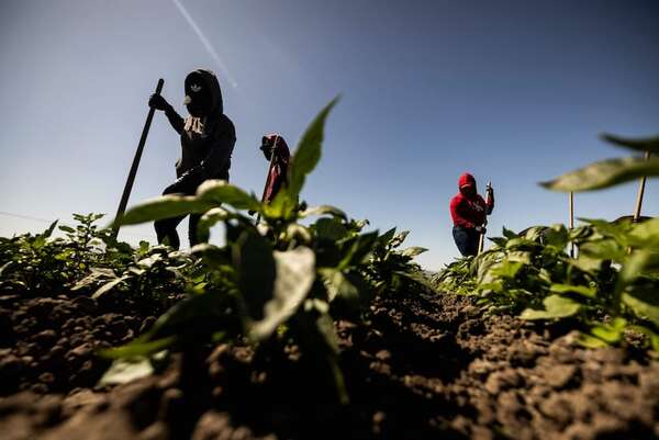 Factura climática: Naciones industrializadas incumplen promesa de compensación, reclaman países vulnerables - Mundo - ABC Color