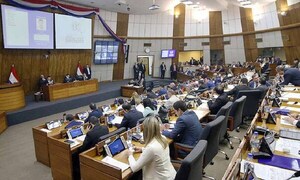ONU pide a Paraguay retirar nuevo proyecto de ley que controla la financiación de las ONG – Prensa 5
