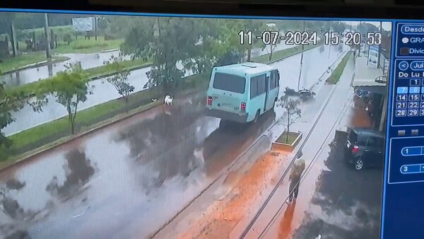 Frenó para no arrollar a un perro y le chocó un minibús