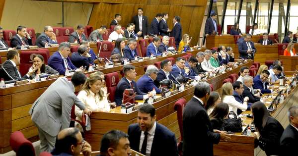 Diario HOY | ONU pide rechazar proyecto de oenegés