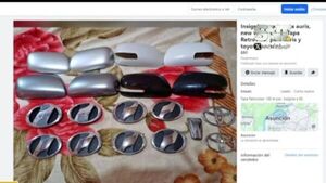 Tortoleros de autopartes en acción - SNT