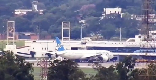 PAJARITO OBLIGA ATERRIZAJE FORZOSO DE UN AVIÓN