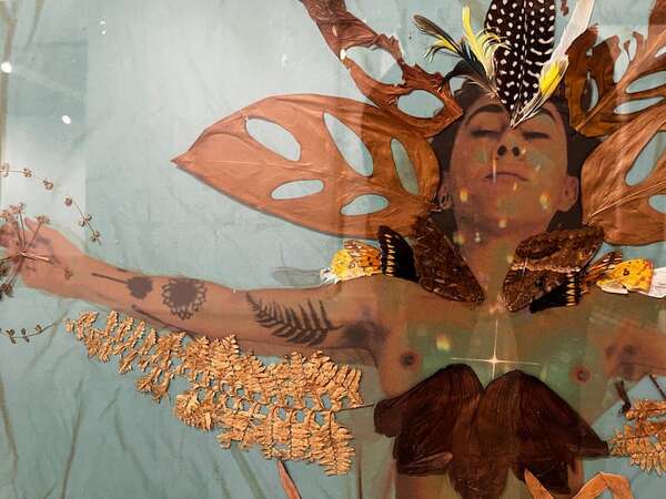 La exposición “A través de las grietas. Miradas ecofeministas” se inaugurará en el CCEJS - Cultura - ABC Color