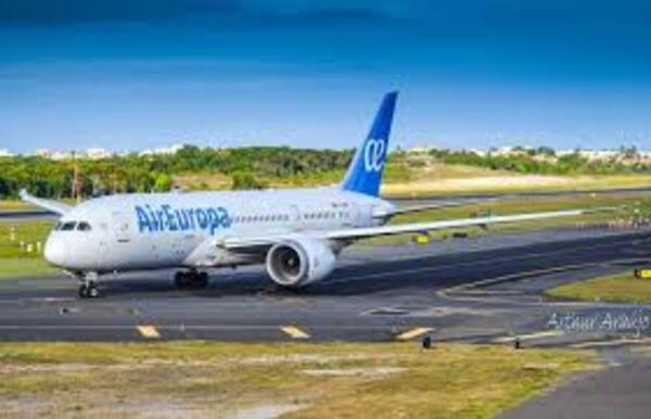 Un pájaro habría provocado el aterrizaje de emergencia del Boeing 787-9 que iba a España - Megacadena - Diario Digital