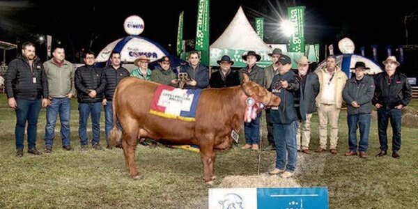 Ganadera Sofía, la Gran Campeona en raza angus