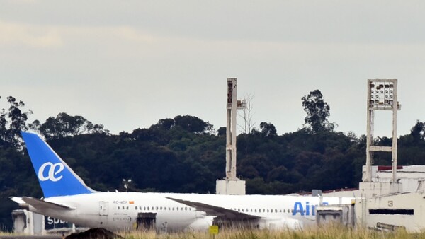 Hace 6 años que el Aeropuerto no controla la incursión de aves