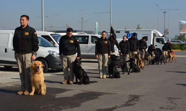 Futuros canes detectores de drogas y guías de la SENAD entrenan en Chile