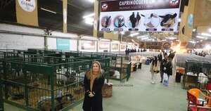 La Nación / Sector caprino busca reordenar el negocio y aumentar la producción