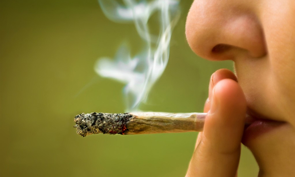 Sin droga no hay adictos - OviedoPress