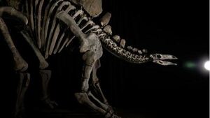 A sus 150 millones de años, un estegosaurio sale a la venta en Nueva York