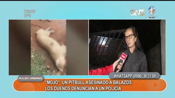 Policía le habría disparado a un perro - SNT