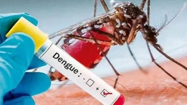 Casos de dengue siguen en descenso - Noticias Paraguay