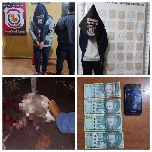 Concepción: caen dos involucrados en abigeato e identifican a miembros de la red