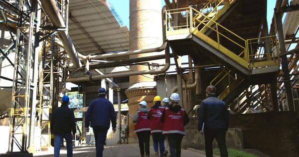 Diario HOY | Inspeccionan condiciones laborales en producción de caña dulce en Guairá
