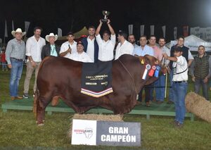 Expo 2024 eligen a campeones en Brangus y Brahman